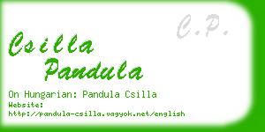 csilla pandula business card